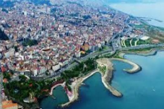 Trabzon'da Ocak 2020 Ayı'nda Satılan Konut Sayıları.